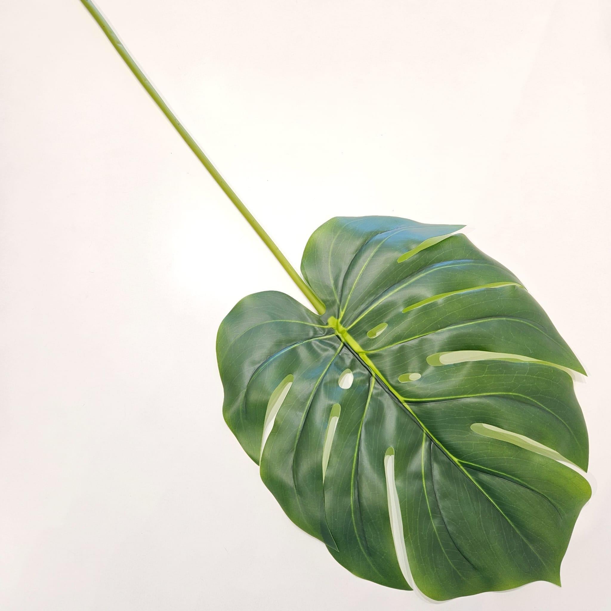 DEVETABANI YAPRAĞI 105 CM
