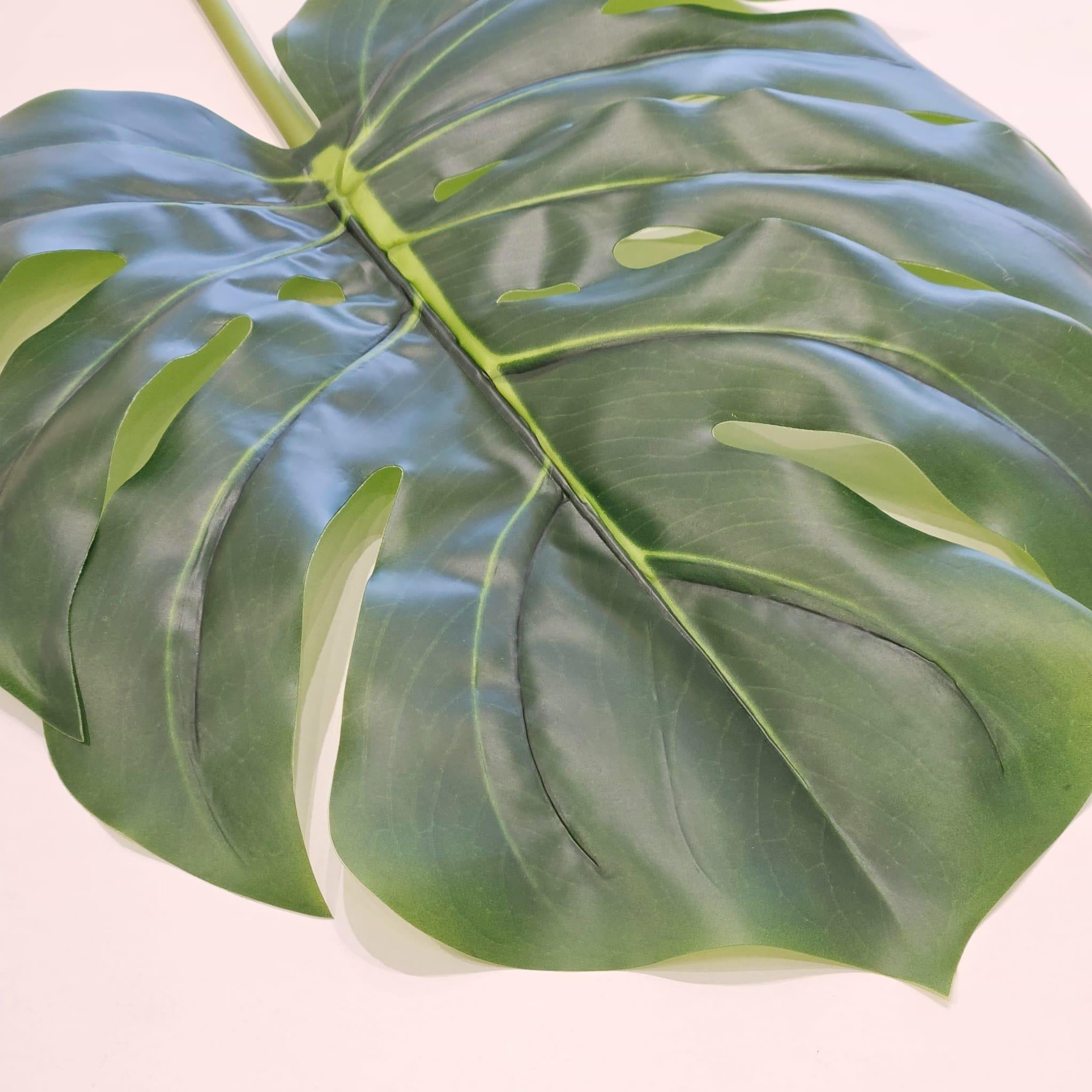 DEVETABANI YAPRAĞI 105 CM