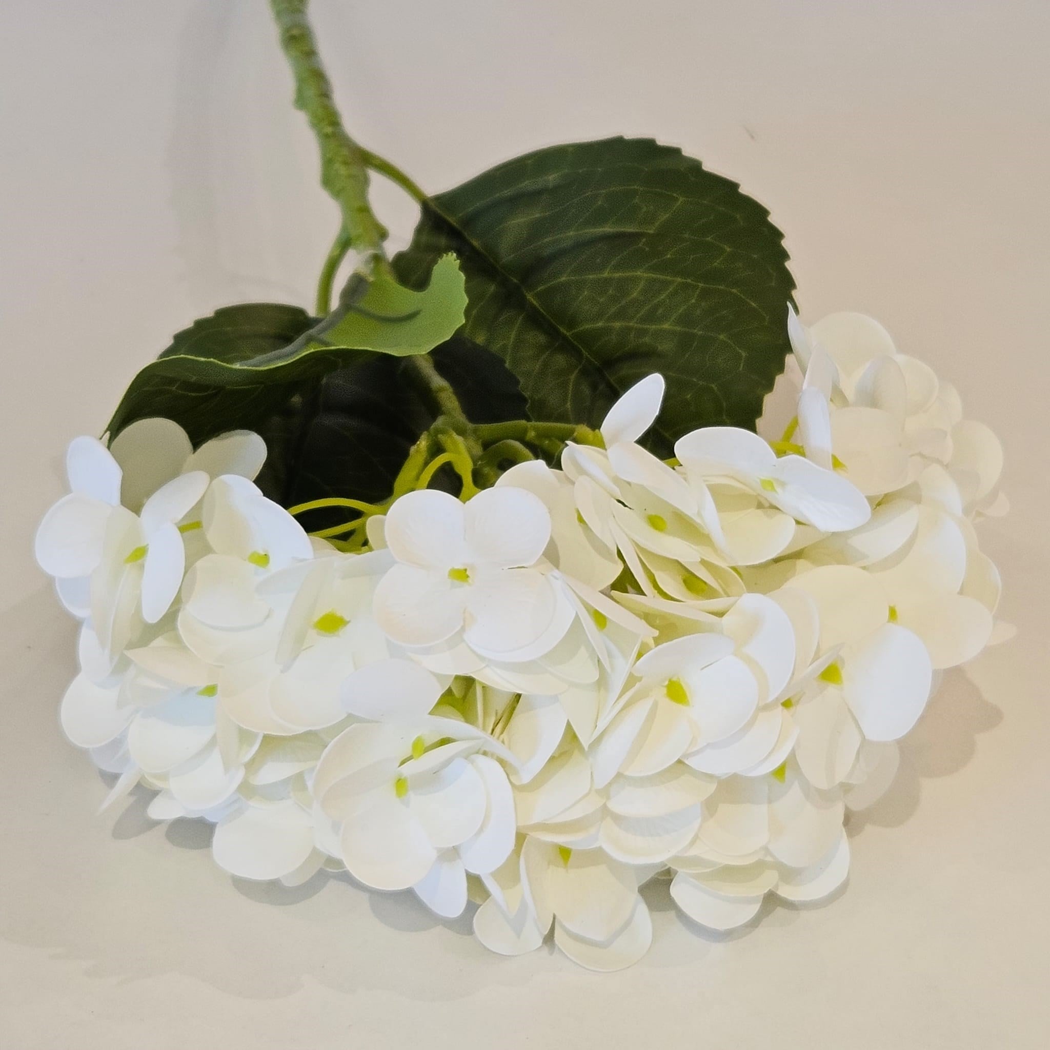 ISLAK DOKU ORTANCA BEYAZ 55 CM 
