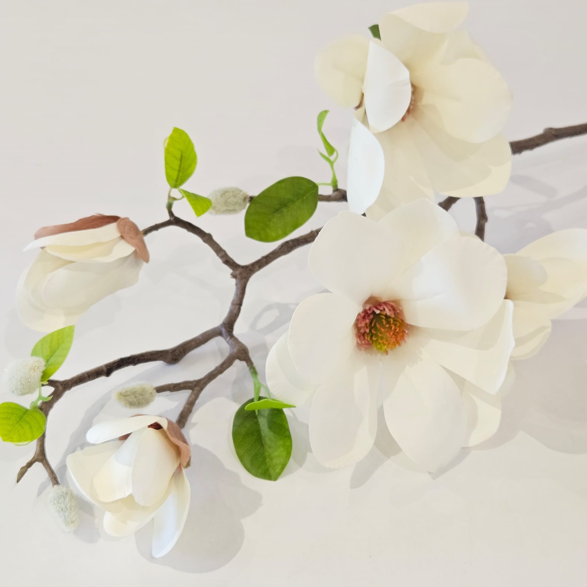 KREM MANOLYA DALI 72 CM