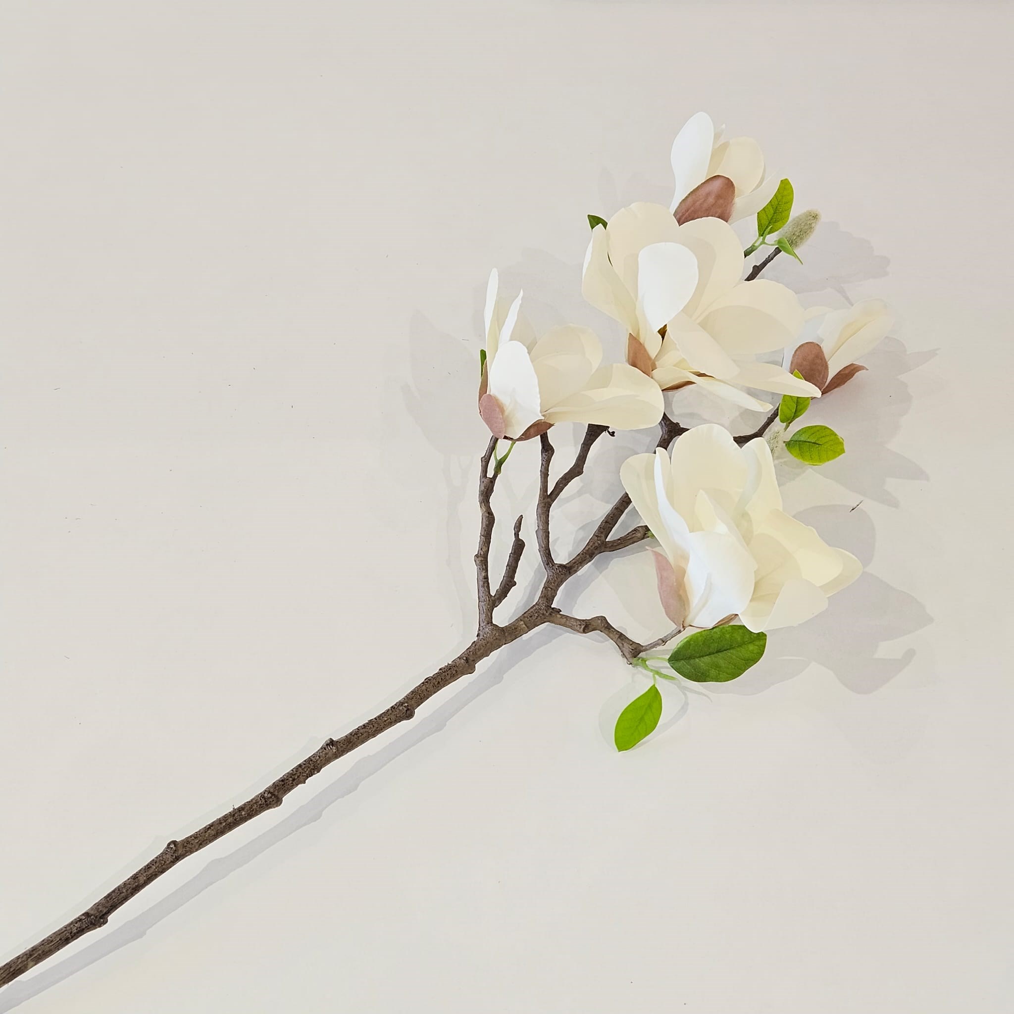 KREM MANOLYA DALI 72 CM