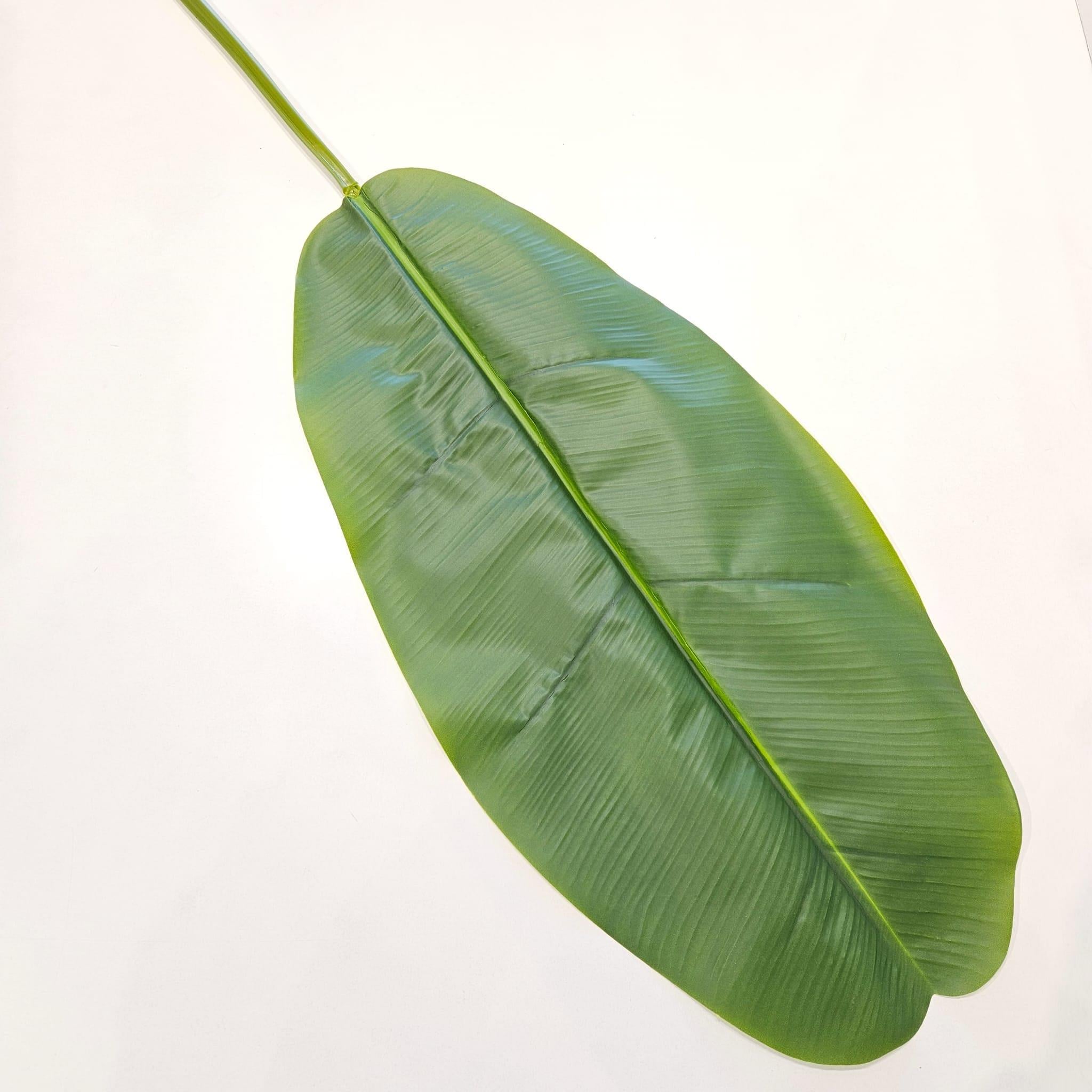 MUZ YAPRAĞI 130 CM