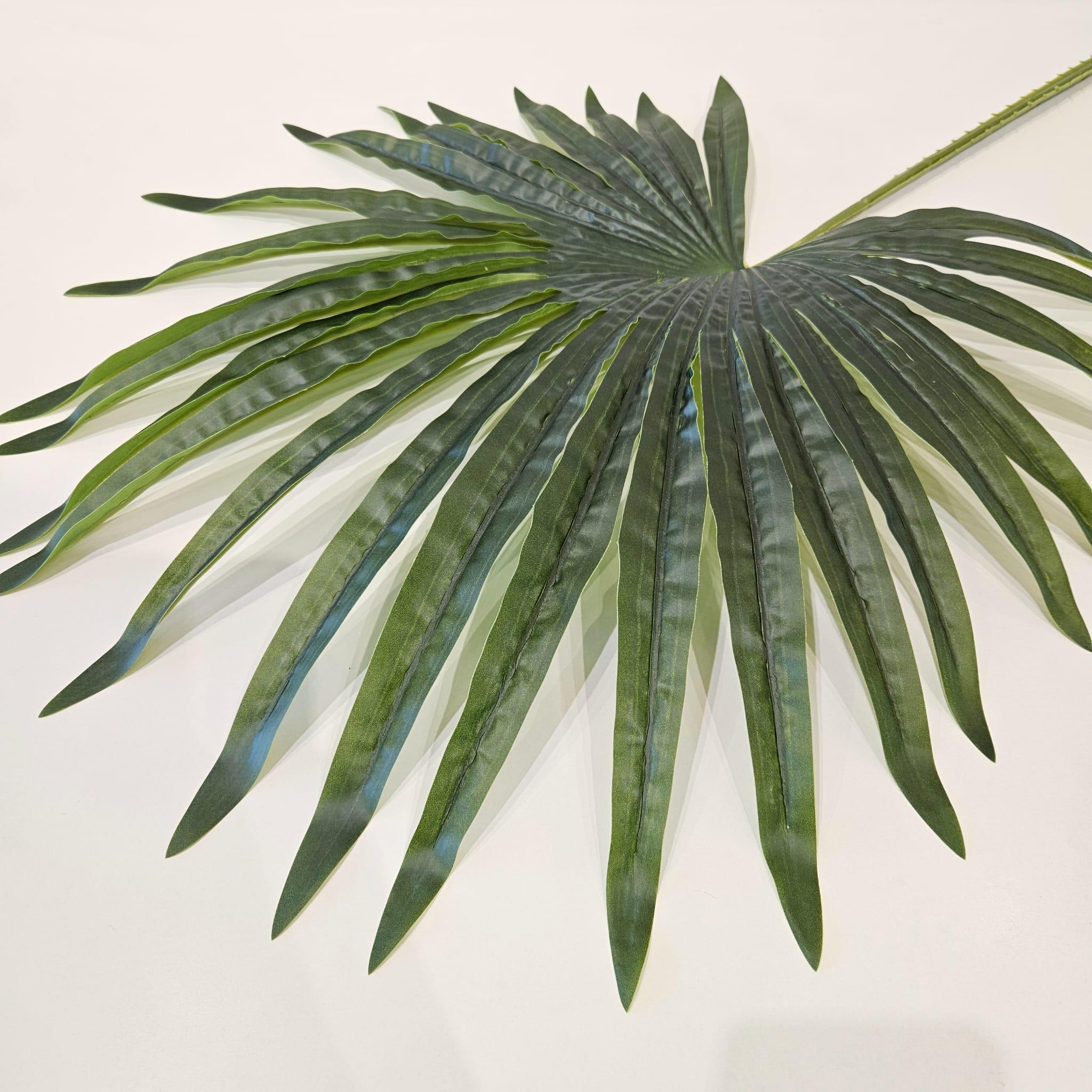 PALMİYE YAPRAĞI 50 CM