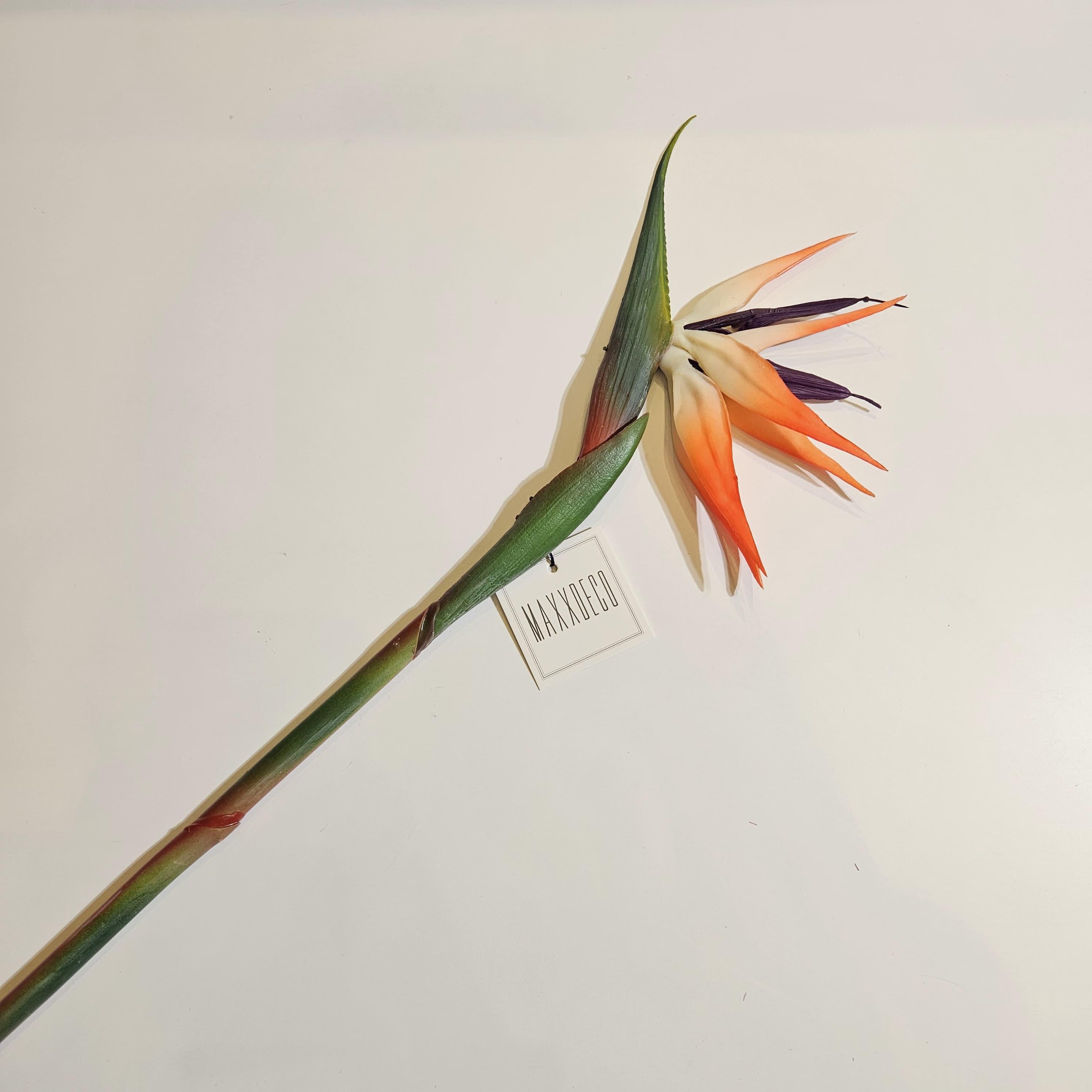 STARLİÇE ÇİÇEĞİ 80 CM