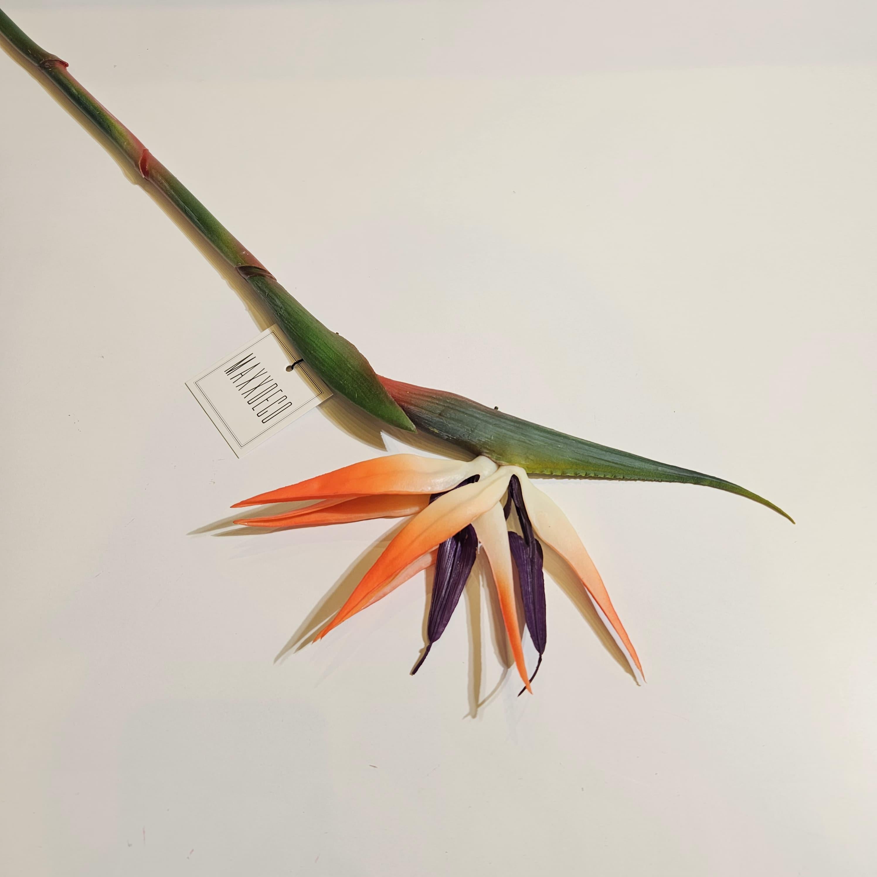 STARLİÇE ÇİÇEĞİ 80 CM