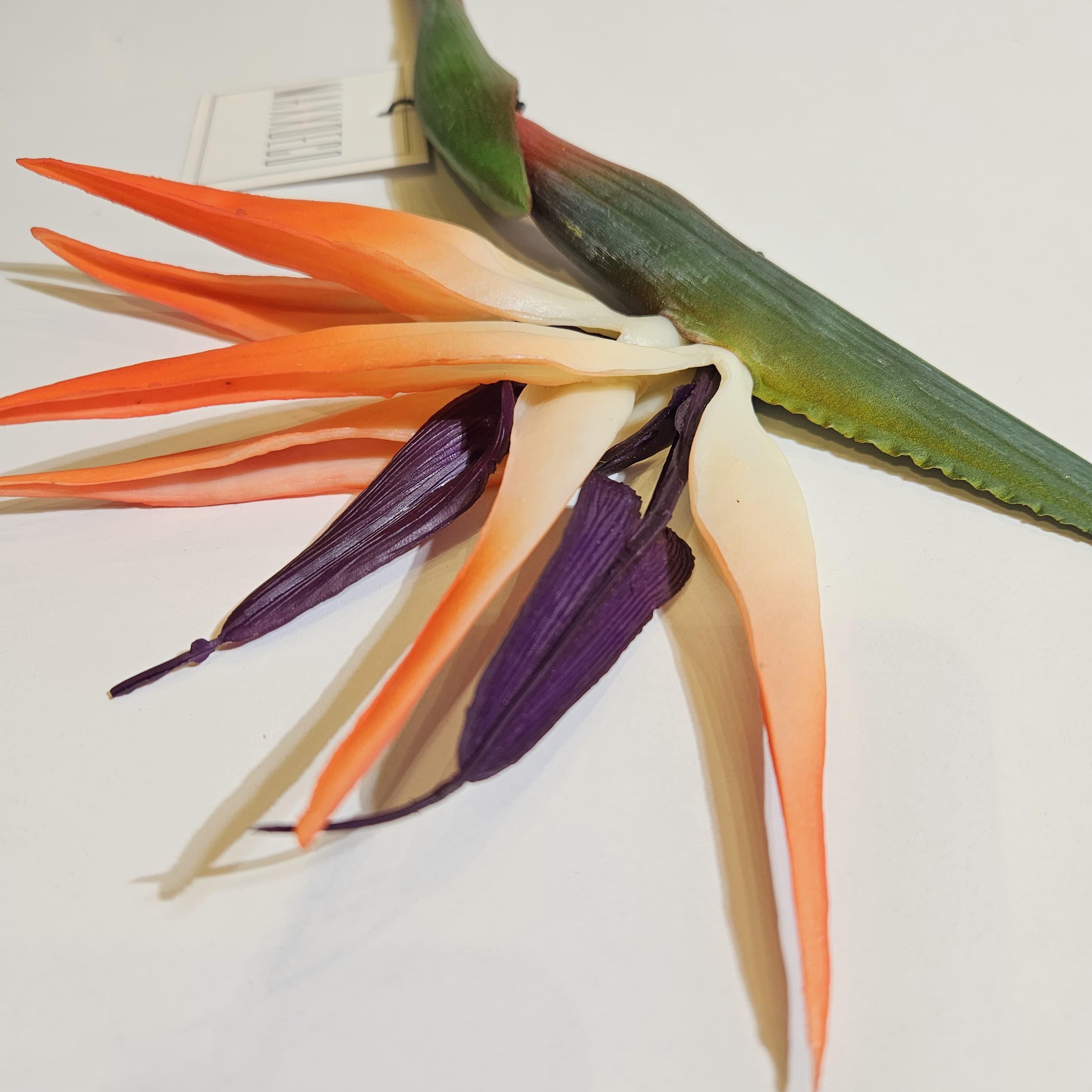 STARLİÇE ÇİÇEĞİ 80 CM