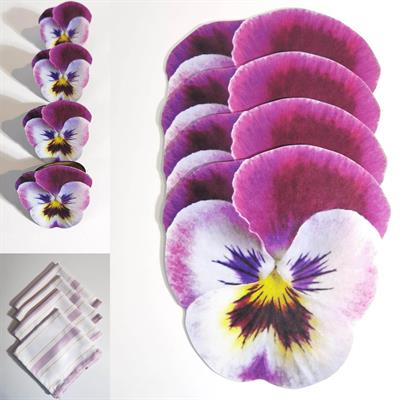 12 Parça Servis Seti-12082