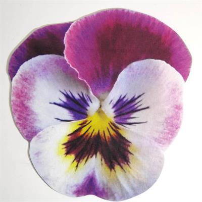 12 Parça Servis Seti-12082