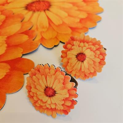 6 Parça Servis Seti