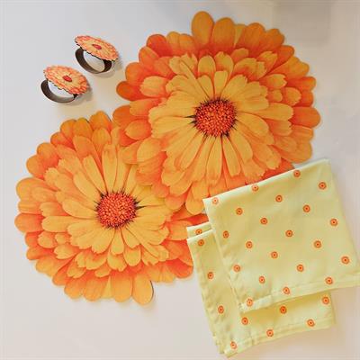 6 Parça Servis Seti