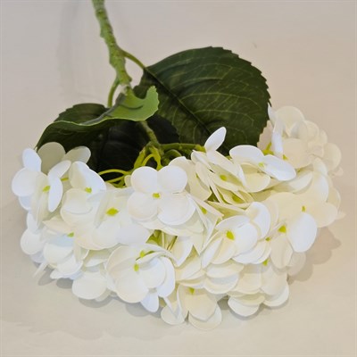 ISLAK DOKU ORTANCA BEYAZ 55 CM 