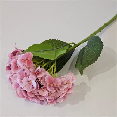 ISLAK DOKU ORTANCA DAL GÜLKURUSU  55 CM