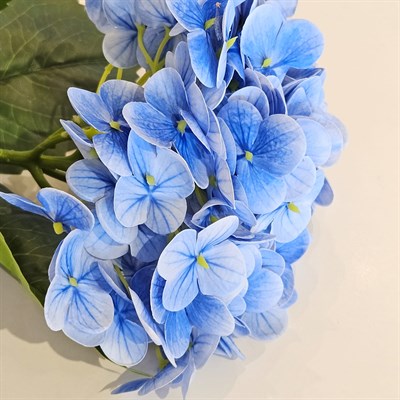 ISLAK DOKU ORTANCA DAL MAVİ 55 CM