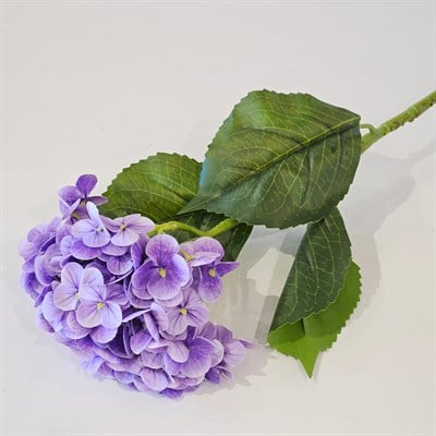 ISLAK DOKU ORTANCA MOR 55 CM