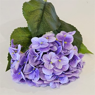 ISLAK DOKU ORTANCA MOR 55 CM