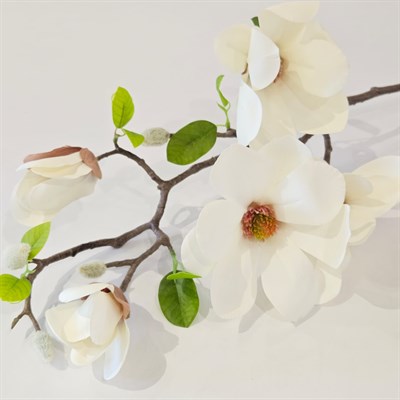 KREM MANOLYA DALI 72 CM