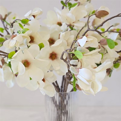 KREM MANOLYA DALI 72 CM