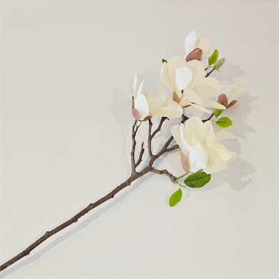 KREM MANOLYA DALI 72 CM