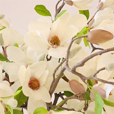 KREM MANOLYA DALI 72 CM