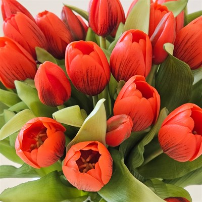 LALE DEMET KIRMIZI 30 CM