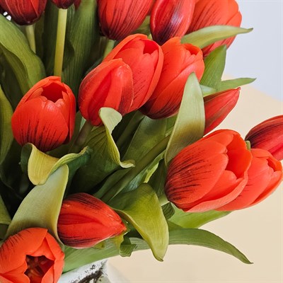 LALE DEMET KIRMIZI 30 CM