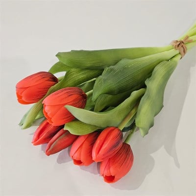 LALE DEMET KIRMIZI 30 CM