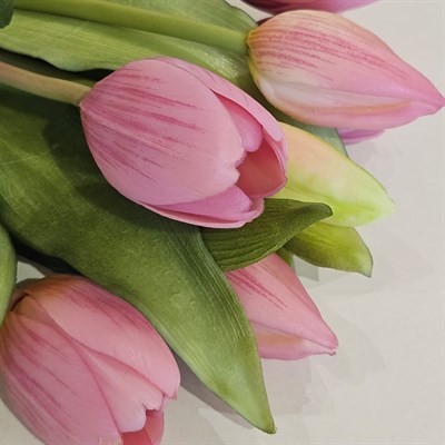 LALE DEMET MAUVE 30 CM