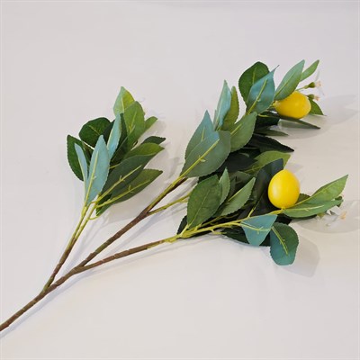 LİMON ÇİÇEKLİ LİMON DALI 74 CM