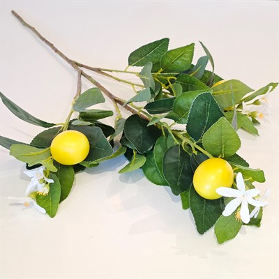 LİMON ÇİÇEKLİ LİMON DALI 74 CM