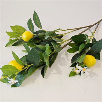 LİMON ÇİÇEKLİ LİMON DALI 74 CM