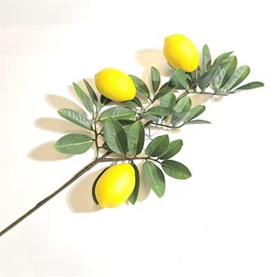 LİMON DAL 76 CM