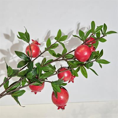 NAR 94 CM DAL