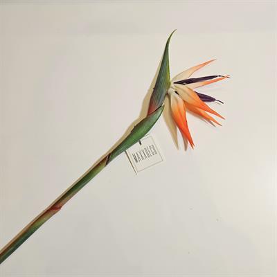 STARLİÇE ÇİÇEĞİ 80 CM