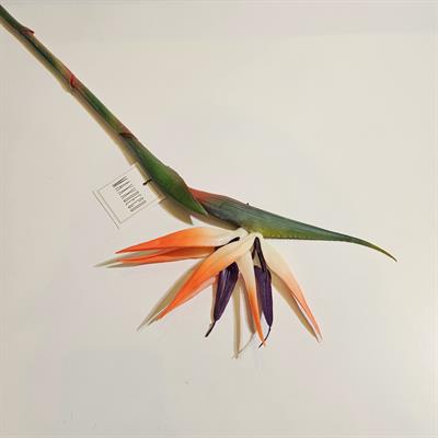 STARLİÇE ÇİÇEĞİ 80 CM