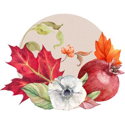 SUPLA SERVİSİ-12335