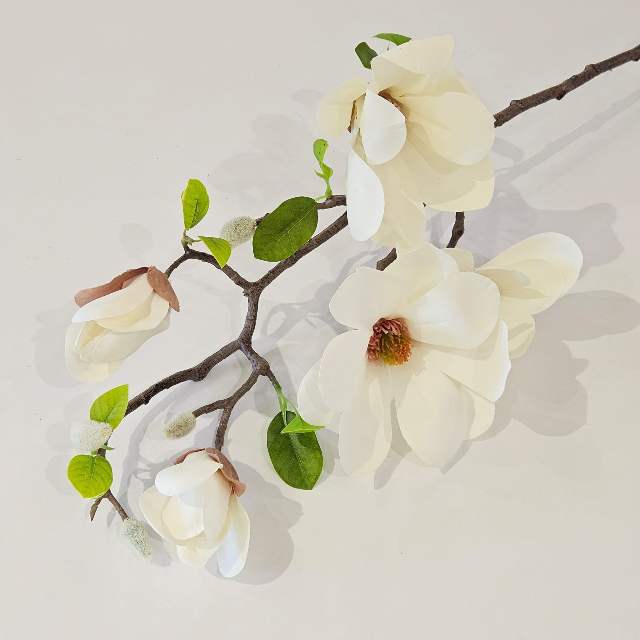 KREM MANOLYA DALI 72 CM