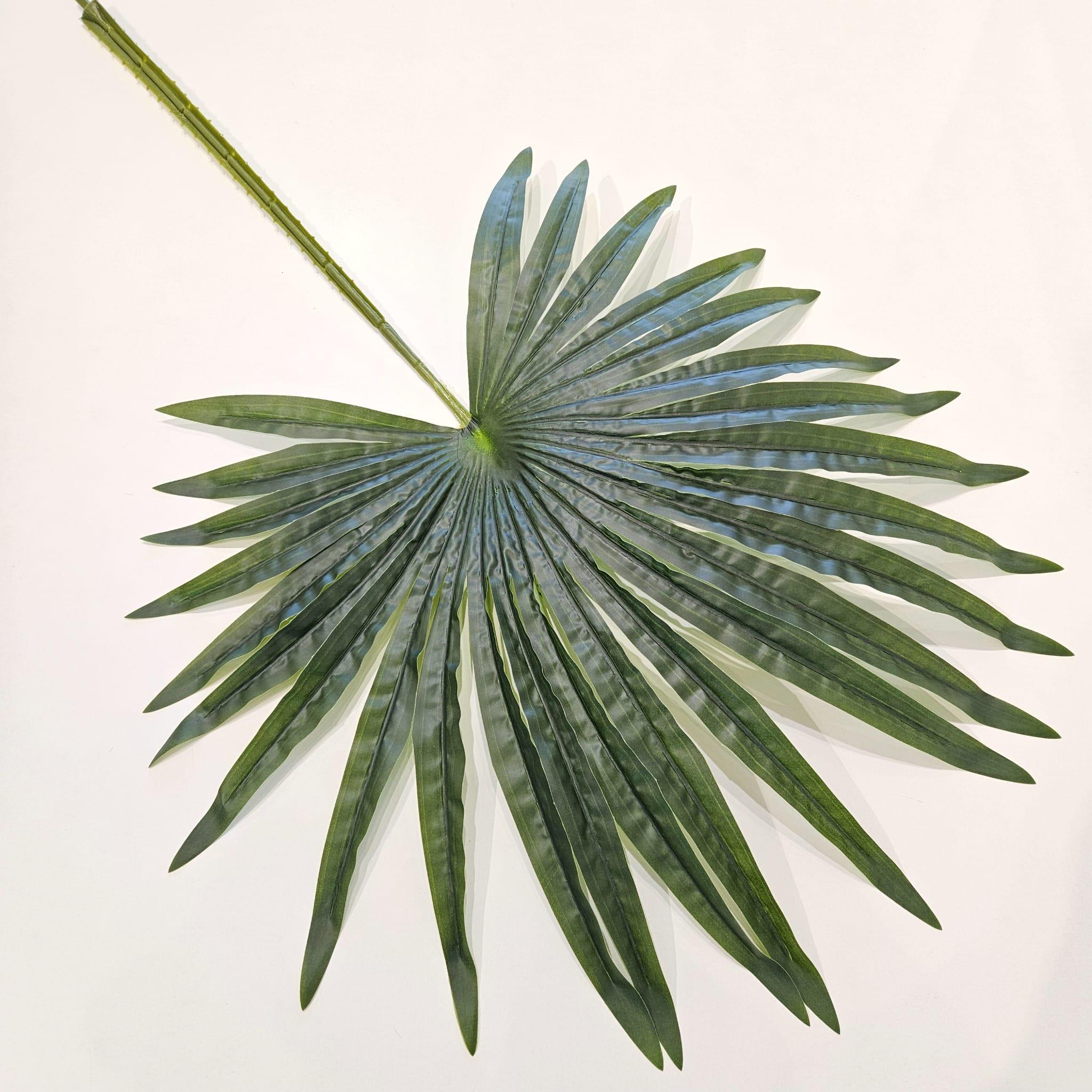 PALMİYE YAPRAĞI 50 CM