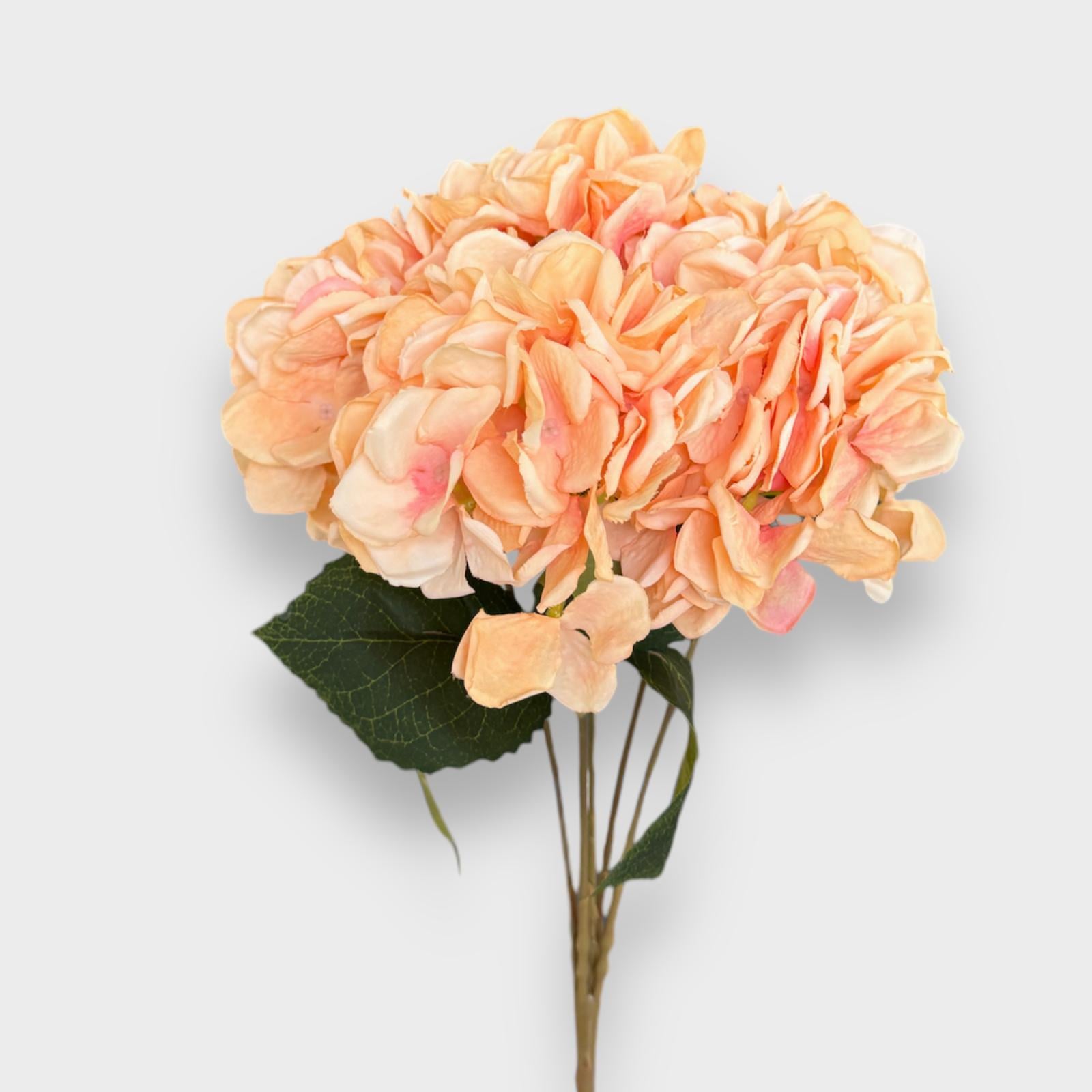 SOMON ORTANCA DALI 52 CM