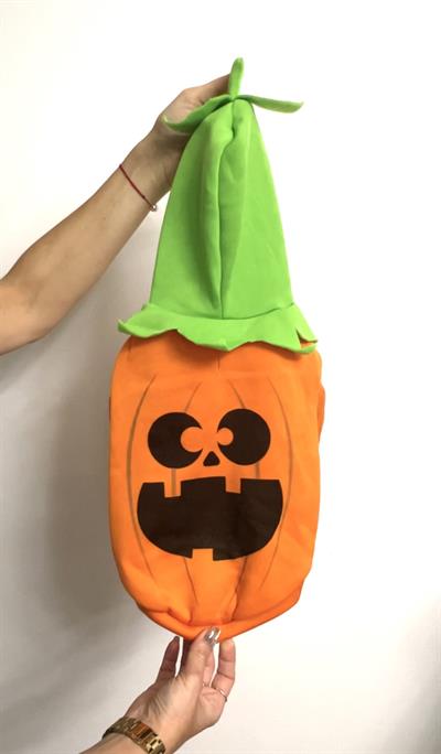 Cadılar Bayramı Hayalet Avcisi Kostümü