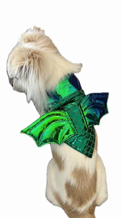 Cadılar Bayramı Ejderha Kostümü