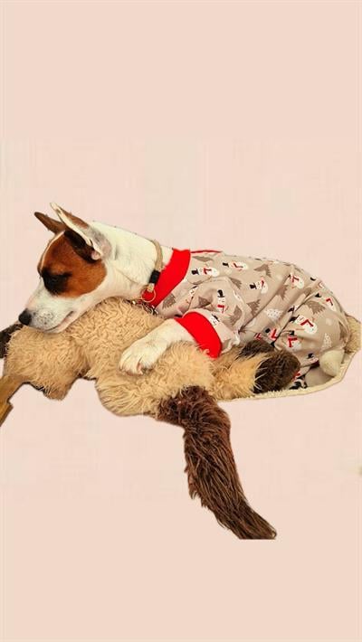 Kardan Adam Desenli Köpek Tulumu