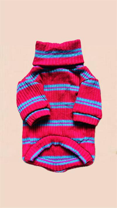 Kırmızı Yeşil Çizgili Kaşkorse Köpek Kazağı