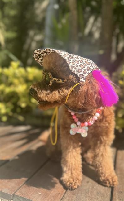 Leopar Kedi Köpek Şapkası