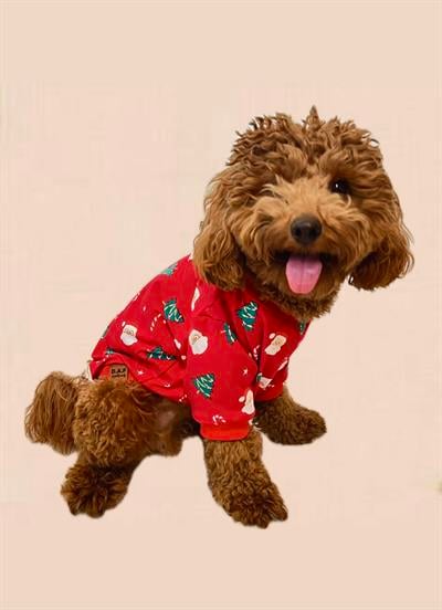 Yılbaşı Temalı Noel Baba Desenli Kedi Köpek Tshirt