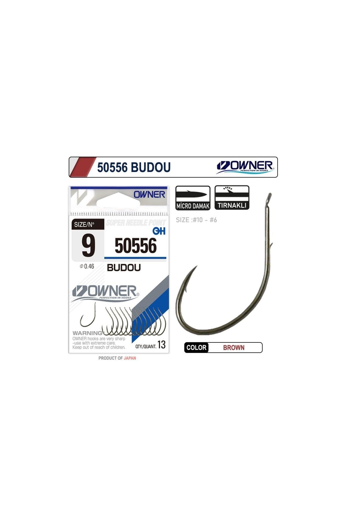 50556 - 10 OWNER IGNE