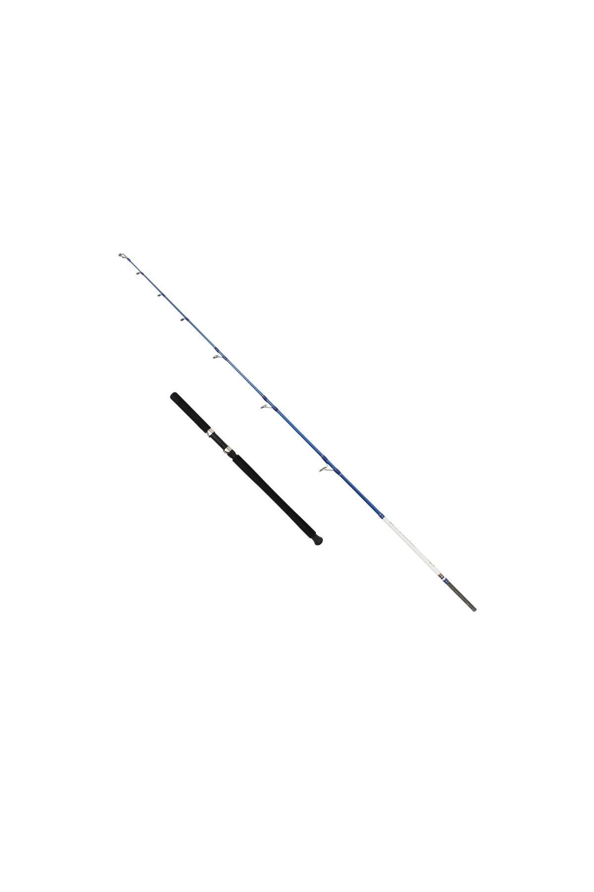 Captain 1411 Victor Boat 2 Parça Tekne Kamışı 30-160gr Atar