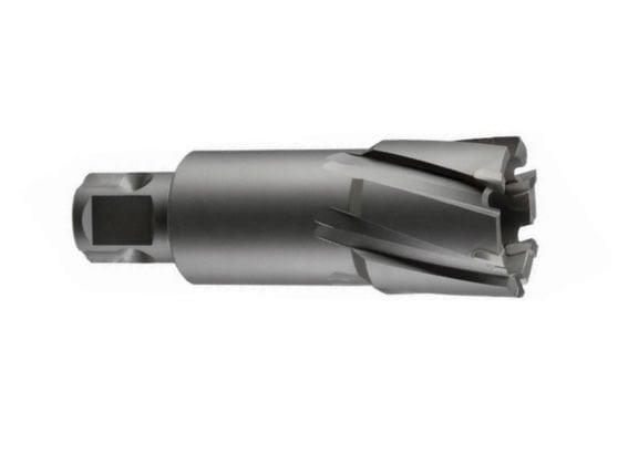 TCT KESİCİ UÇ 100x35 mm