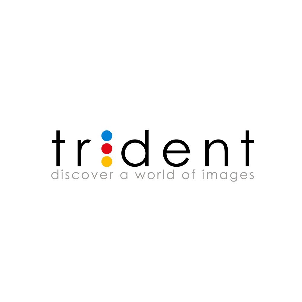TRİDENT
