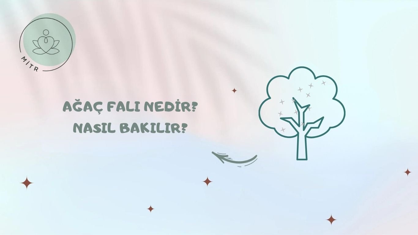 Ağaç Falı Nedir? Nasıl Bakılır?