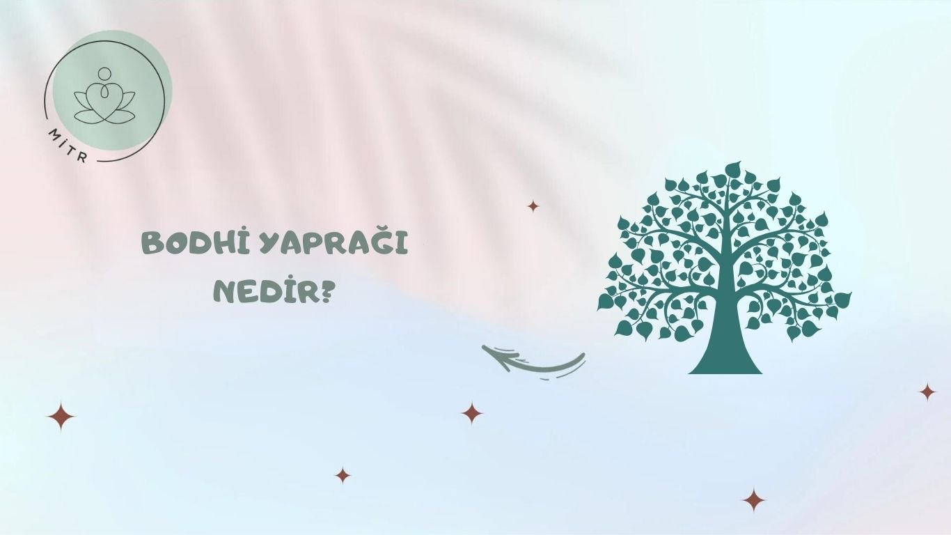 Bodhi Yaprağı Nedir?